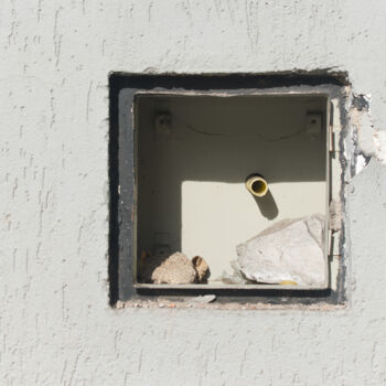 Fotografia intitulada "Street wall 181" por Evargas, Obras de arte originais, Fotografia digital