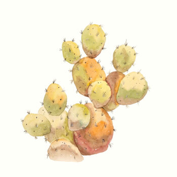 Pittura intitolato "Watercolor cactus 3" da Irina Anis, Opera d'arte originale, Acquarello