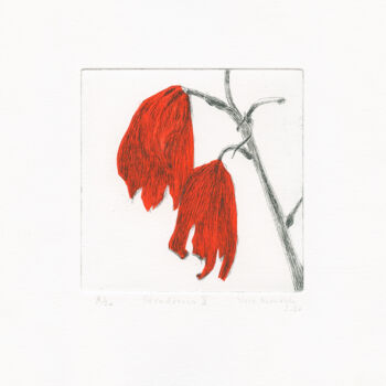 印花与版画 标题为“Decay 10” 由Vera Almeida, 原创艺术品, 蚀刻