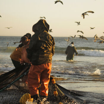 Fotografie mit dem Titel "Sea Life" von Henrique Brito, Original-Kunstwerk, Nicht bearbeitete Fotografie