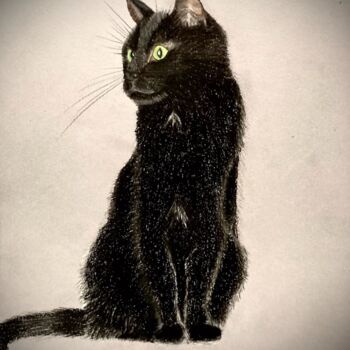 Peinture intitulée "Black Beauty" par Melina Schatzmann, Œuvre d'art originale, Pastel