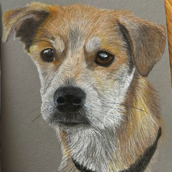 Peinture intitulée "Benni" par Melina Schatzmann, Œuvre d'art originale, Pastel
