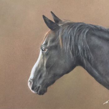 Drawing titled "Horse profile" by Irene_art, Original Artwork, Pastel