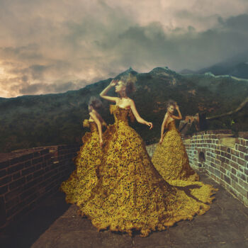 摄影 标题为“Fire & Ice, Small E…” 由Miss Aniela, 原创艺术品, 数码摄影