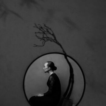 제목이 "Under the Tree of T…"인 사진 Xidong Luo로, 원작, 조작되지 않은 사진