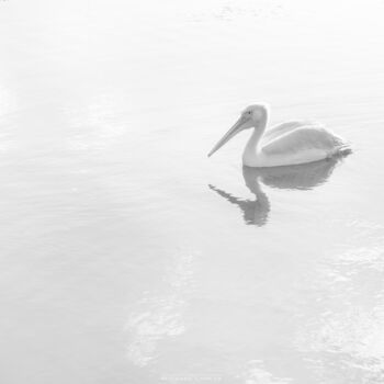 Fotografia intitolato "A Black And White P…" da Michael Lomiya, Opera d'arte originale, fotografia a pellicola