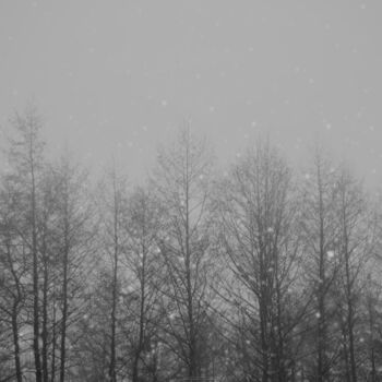 摄影 标题为“Melancholy Winter F…” 由Michael Lomiya, 原创艺术品, 电影摄影