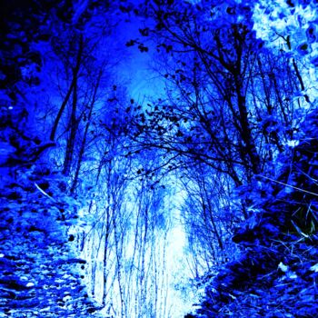 Photographie intitulée "ORGANIC COLOR SEVEN…" par Patrick Hesnard, Œuvre d'art originale, Photographie numérique