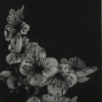 Gravures & estampes intitulée "SÉRIE PRUNUS JAPONI…" par Dominique Keruzec (Maho), Œuvre d'art originale, Gravure