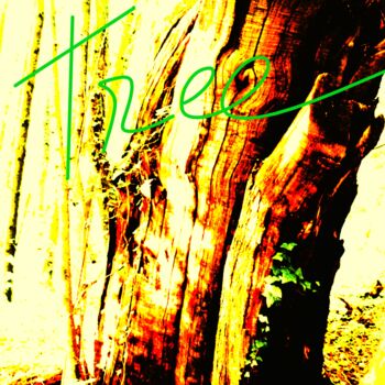 Photographie intitulée "ORGANIC COLOR TWENT…" par Patrick Hesnard, Œuvre d'art originale, Photographie numérique