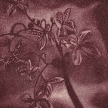 Gravures & estampes intitulée "LA NATURE EN EVEIL" par Dominique Keruzec (Maho), Œuvre d'art originale, Gravure