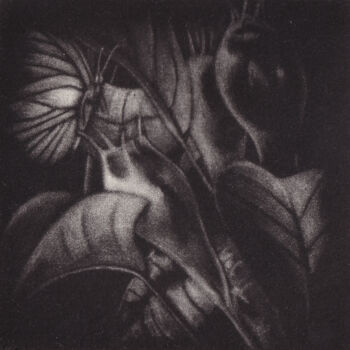 Gravures & estampes intitulée "LE POIRIER- L'ETE:…" par Dominique Keruzec (Maho), Œuvre d'art originale, Gravure