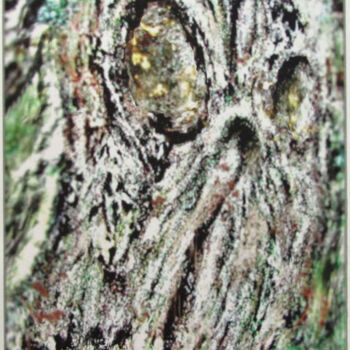Digital Arts titled "Hibou camouflé traq…" by Richard Raveen Chester, Original Artwork, Digital Painting