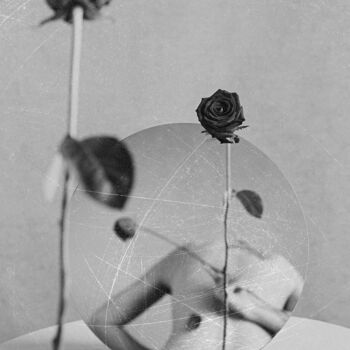 Fotografie mit dem Titel "Wounded Rose #2" von Xidong Luo, Original-Kunstwerk, Digitale Fotografie