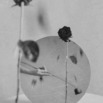 Wounded Rose #3
