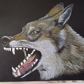 Tekening getiteld "Loup sauvage" door Portraits De L'Âme, Origineel Kunstwerk, Potlood