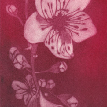 Gravures & estampes intitulée "SERIE PRUNUS JAPONI…" par Dominique Keruzec (Maho), Œuvre d'art originale, Gravure