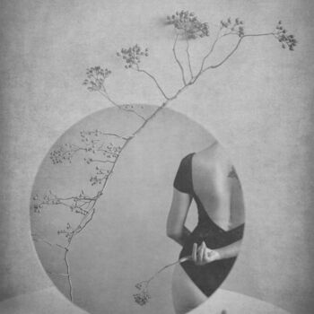 Photography titled "The Season of Letti…" by Xidong Luo, Original Artwork, Non Manipulated Photography