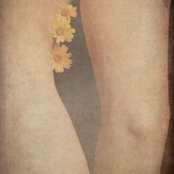 Bodyscapes #13