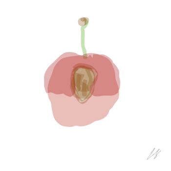Digital Arts titled "Cerise déchirée" by Enrico Siconnelly, Original Artwork, Pencil