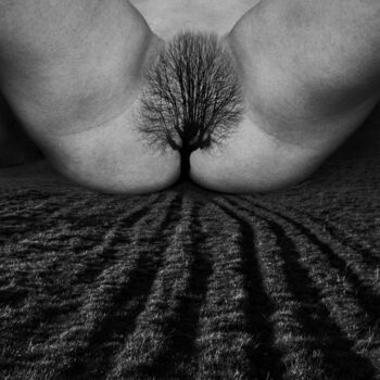 Le sillon
