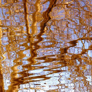 Reflections III