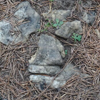 Photographie intitulée "Camouflé de pierre" par Jeanpierre Allano, Œuvre d'art originale, Photographie non manipulée