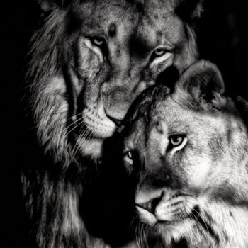 Photographie intitulée "Tenderness" par Catherine Lefrancq, Œuvre d'art originale, Photographie numérique Monté sur Aluminium