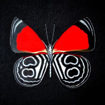 Peinture intitulée "Mrs. Butterfly Diae…" par Mariia Baskal, Œuvre d'art originale, Huile Monté sur Châssis en bois