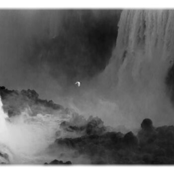 Photographie intitulée "L'aigrette d'Iguazu" par Alliet-Delacroix, Œuvre d'art originale, Photographie numérique