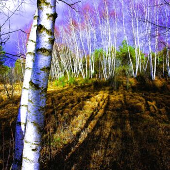 Φωτογραφία με τίτλο "MARAIS DU CASSAN EL…" από Patrick Hesnard, Αυθεντικά έργα τέχνης, Ψηφιακή φωτογραφία