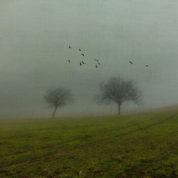 Photography titled "L'arbre solitaire d…" by Laurent De La Conception, Original Artwork, Manipulated Photography Mounted on…