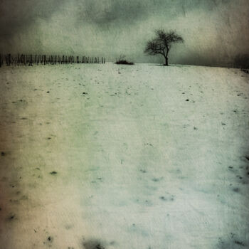 Photographie intitulée "Paysage hivernal mi…" par Laurent De La Conception, Œuvre d'art originale, Photographie manipulée Mo…