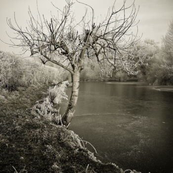 Photographie intitulée "Arbre Givré au Bord…" par Laurent De La Conception, Œuvre d'art originale, Photographie non manipulé…