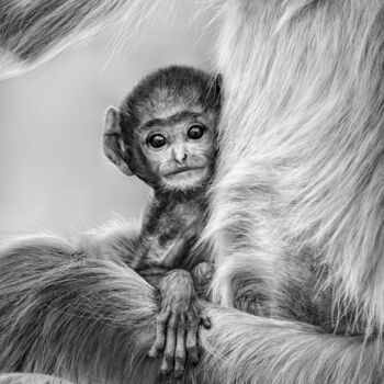 Fotografie getiteld "Innocence" door Preeti & Prashant Chacko, Origineel Kunstwerk, Digitale fotografie