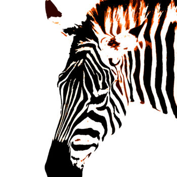 Φωτογραφία με τίτλο "Reino Animal 16" από Sergio Benetti, Αυθεντικά έργα τέχνης, Ψηφιακή φωτογραφία