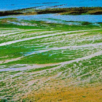 "Plage en vert 01-20…" başlıklı Fotoğraf Rosalina Vaz tarafından, Orijinal sanat, Dijital Fotoğrafçılık
