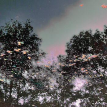 Digital Arts titled "Vent d'automne 2" by Michel Guillaumeau, Original Artwork, Digital Painting