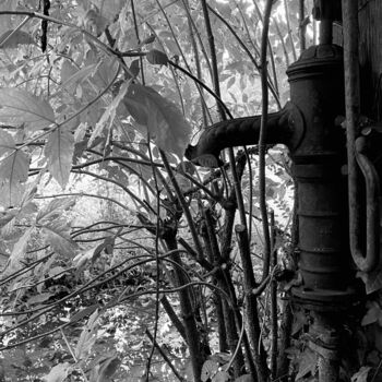 Photographie intitulée "Pompe pas à fric no…" par Laurence Linsenmaier, Œuvre d'art originale, Photographie non manipulée