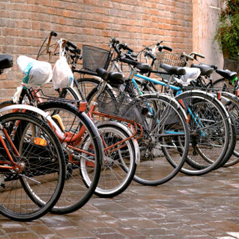 Photography titled "Amiga Bicicleta 3" by Sergio Benetti, Original Artwork, Digital Photography