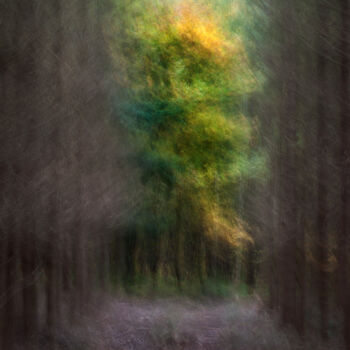 Fotografie getiteld "Couleurs d'automne…" door Thierry Martin, Origineel Kunstwerk, Digitale fotografie