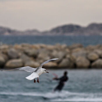 Photography titled "Kitesurf avec mouet…" by Nathan Serny, Original Artwork, Digital Photography