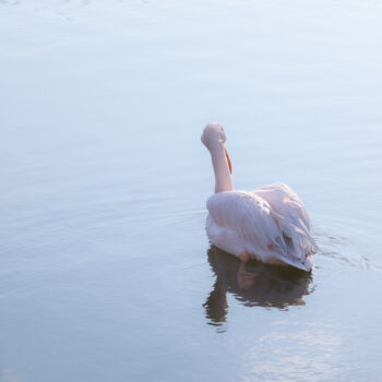Fotografie mit dem Titel "Blue Water Pink Pel…" von Michael Lomiya, Original-Kunstwerk, Analog Fotografie