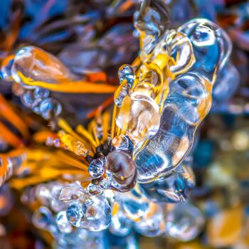 Photography titled "FÉÉRIE GLACIALE" by Bruno Proietti, Original Artwork, Non Manipulated Photography Mounted on Other rigid…