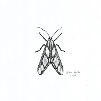 Drawing titled "INSETO Nº 13" by Guilherme Almeida, Original Artwork, Ink