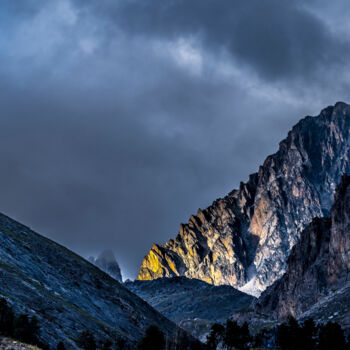 Photography titled "BRILLANCE" by Bruno Proietti, Original Artwork, Digital Photography Mounted on Aluminium
