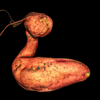 Photographie intitulée "The Sweet Potato" par Catherine Lefrancq, Œuvre d'art originale, Photographie numérique Monté sur Al…