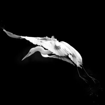 Photography titled "02 Grand pas d’acti…" by Photospoon, Original Artwork, Digital Photography