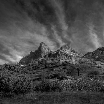 Photography titled "L'AIGUILLETTE 1" by Bruno Proietti, Original Artwork, Digital Photography Mounted on Aluminium