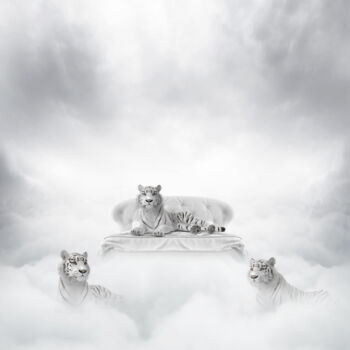 Digital Arts titled "white tigers-1" by Philip Mckay, Original Artwork, Digital Collage